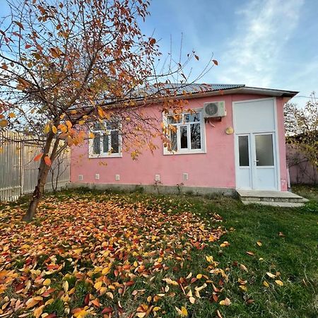 Qafqaz Resort Family House Габала Екстер'єр фото