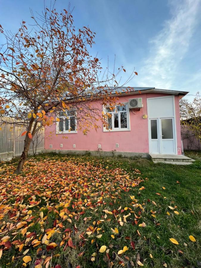 Qafqaz Resort Family House Габала Екстер'єр фото